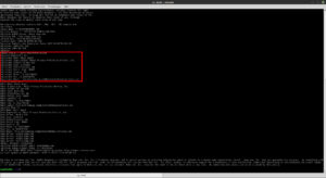 cb_5_whois_streaming
